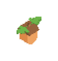 Acorn pixel art isolated. 8 bit pixelated fruit of the oak tree