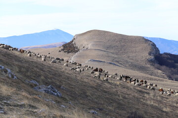 rando à la montagne de la Mare, 04