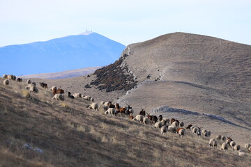 rando &agrave; la montagne de la Mare, 04