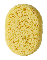 sponge isolated on white background