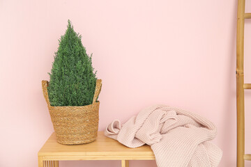 Shelving unit with cozy blanket and houseplant near pink wall