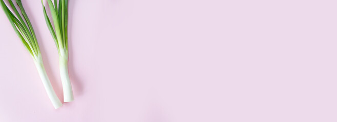 young green onions on a background, pink background