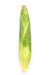 Fresh corn cob on white background
