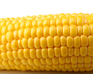 Fresh corn cob on white background, closeup