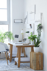 Interior of light office with workplace, pegboard and houseplants