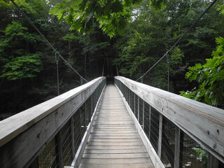 Fototapeta na wymiar Wooden Bridge in Forest