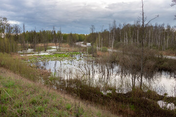 spring landscape with a cloudy sky and a highway, a swampy roadside area, environmental disruption due to the construction of a highway.