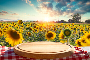 sunflower seeds in sack. Sunflower seeds in burlap bag on wooden table with field of sunflower on...