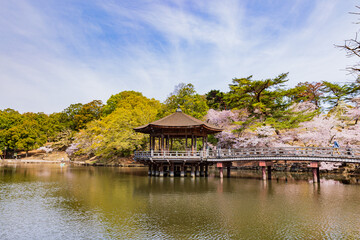 Fototapeta na wymiar 奈良公園　桜満開と浮御堂　 
