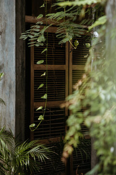 ventana de restaurante 