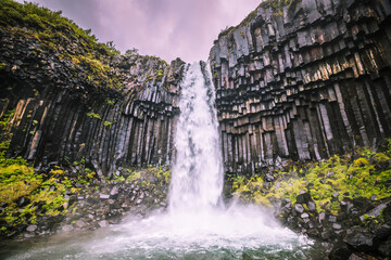 Masses of water cascade down the Skaftafell waterfall along gray basalt columns.