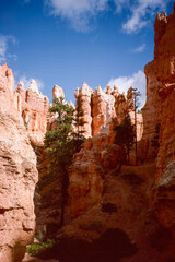 Naklejka premium Natural landscape of limestone and sandstone rock formations inside a national parks in utah and arizona in north america in summer