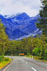 Fototapeta premium NZ Southland highway speed vert