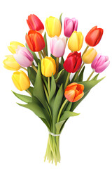 colorful bouquet of tulips on neat white background