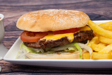 hamburger with fries