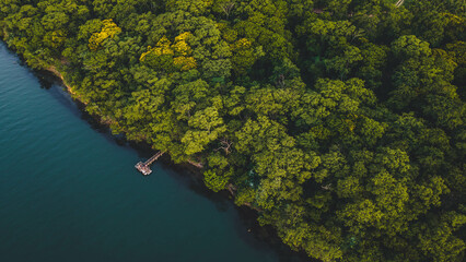 aerial view of a lone jetty or platform in Parana River or Rio Parana with forest surrounding it - Panorama, SP, Brazil 