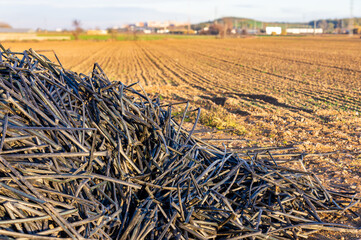 Agricultural Legacy: Pipe Residues in a Field.