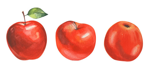 Set of three watercolor red apples. Juicy fresh fruit isolated on white.