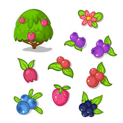 Vector bush with flowers and berries.