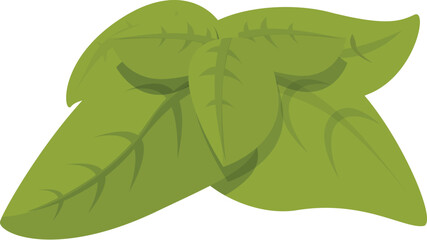 Pesto leaf plant icon cartoon vector. Utensil seasoned. Aromatic dish