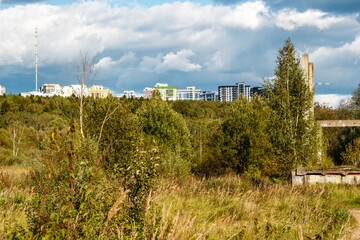Fototapeta na wymiar View from the side of an overgrown area of urban development visible from behind the forest