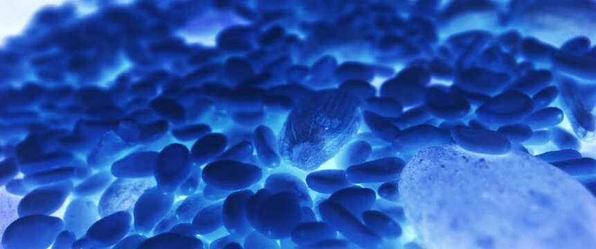 Strange glowing blue life form.