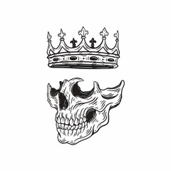 crown of skull