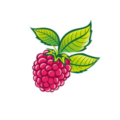 raspberry with leaves, logo isolated on a white background 