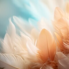 Beautiful color feathers on blue background, soft focus. Texture for design.