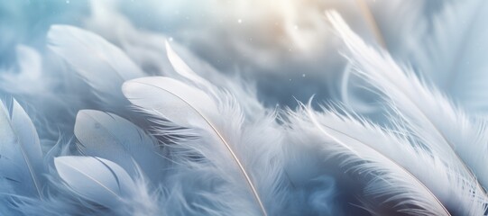 soft, fluffy feathers of heavenly color. background.