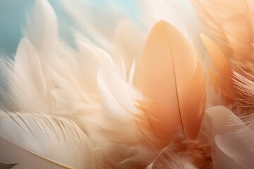 colored feathers on a celestial background, soft accent.