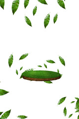 falling Green Leaves overlay PNG
