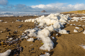 Sea foam on the beach