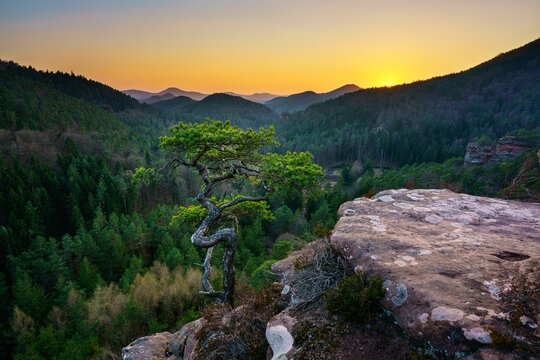 Palatinate Forest, Sunset, Dahner Felsenland, Dahn, Palatinate, Rhineland-Palatinate, Germany, Europe