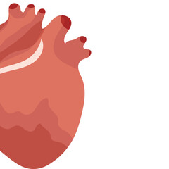 medical themed frame banner or flyer template with half of a human internal organ namely a healthy heart on a white background, vector