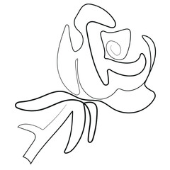 simple linear dogotype of flower namely rose bud drawn in one line for flower shop or design, vector