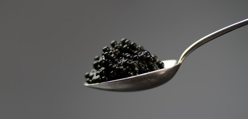 Black Caviar in a silver spoon over gray background. High quality natural sturgeon black caviar...