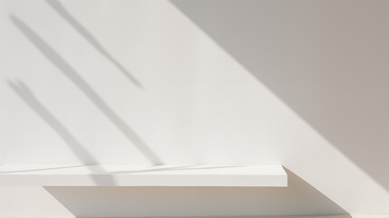 Simple white wall with an ethereal shadow.