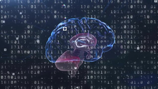 Animation of binary coding data processing over human brain on dark background