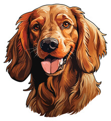 cocker spaniel Irish Setter breed dog - obrazy, fototapety, plakaty
