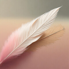 Minimalist pink feathers on a pink and beige background set diagonally with copy space.