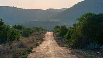 Road inside Pilanesberg National Park, South Africa
