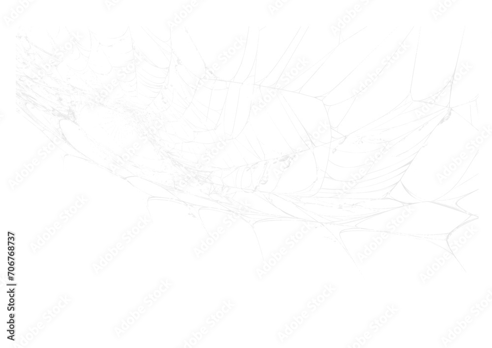 Wall mural spider web v8 alpha