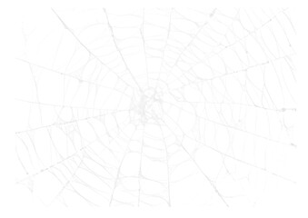 Spider Web v10 Alpha - obrazy, fototapety, plakaty