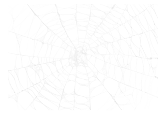Spider Web v10 Alpha