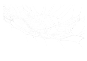Spider Web v8 Alpha