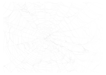 Spider Web v4 Alpha