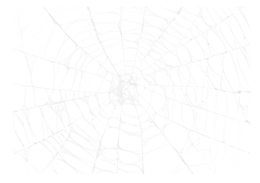 Spider Web v10 Alpha