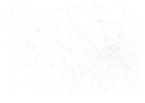 Spider Web v9 Alpha