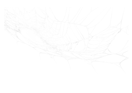 Spider Web v8 Alpha